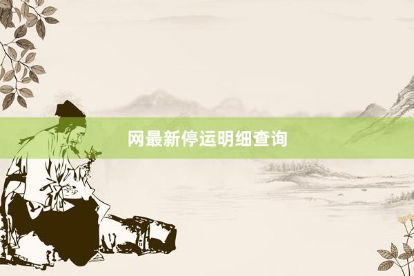 网最新停运明细查询